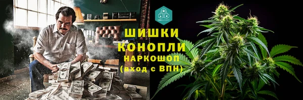 мдпв Бронницы